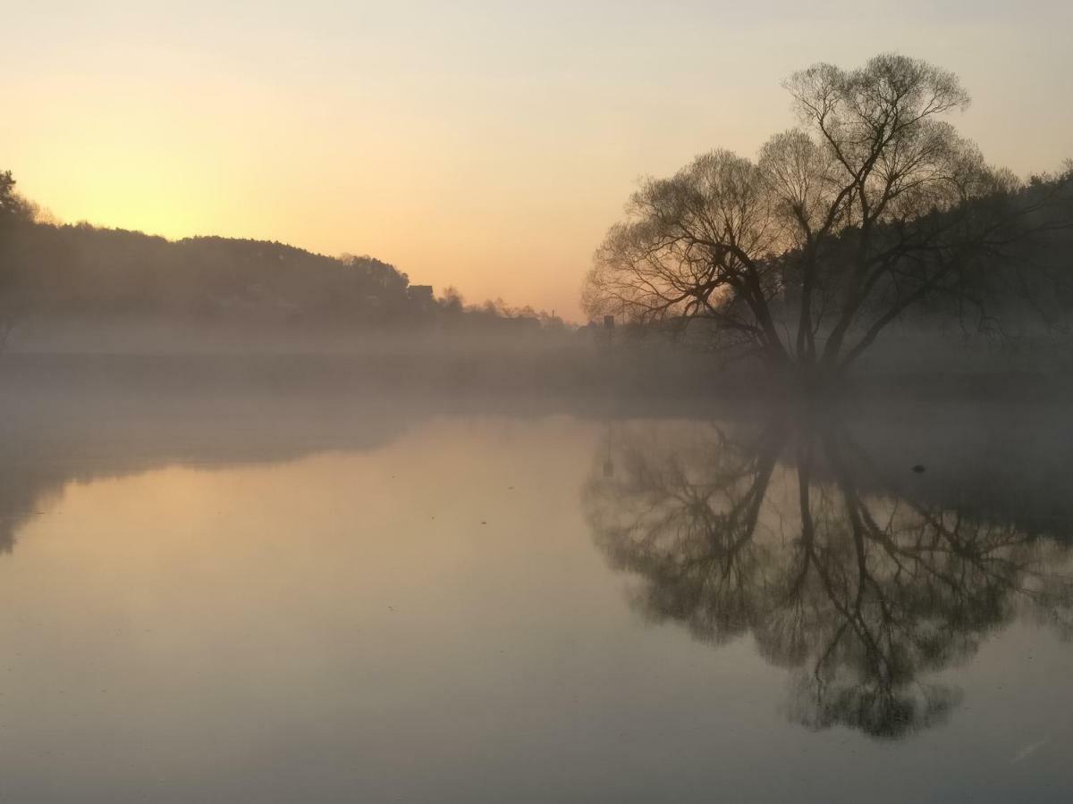 Angeln Am Regen - Angelhof Posl Lägenhet Nittenau Exteriör bild